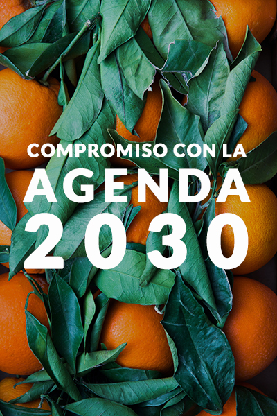 VISAMA, una gestión comprometida con la Agenda 2030 de la economía circular y ODS.