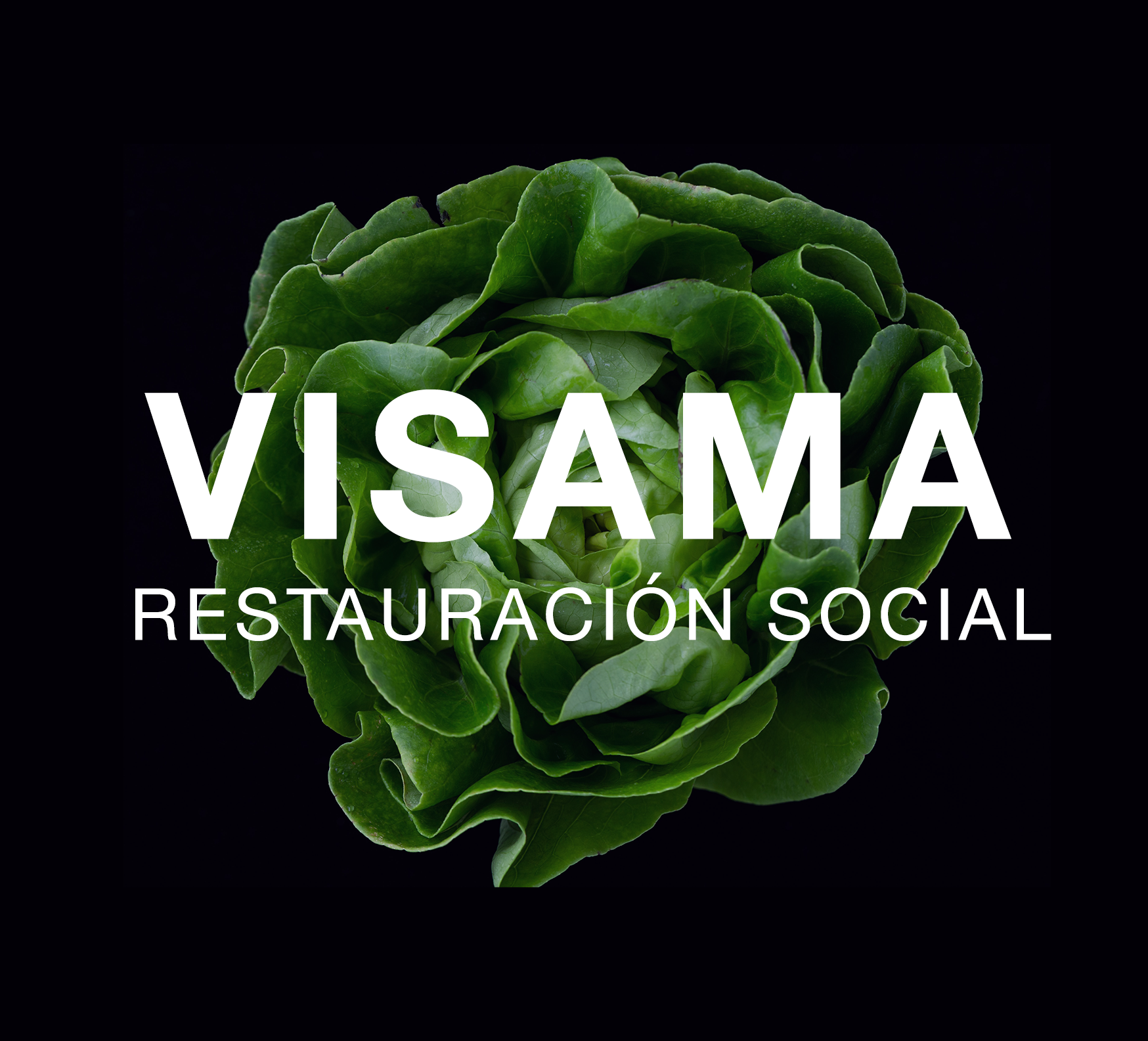 visama-icono-footer-+-visama-empresa